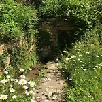 Yew Tree Cottage